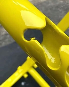 fly inside yellow sculpture