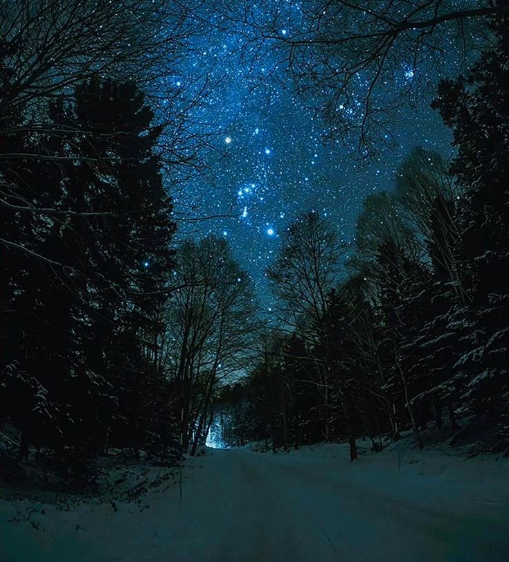 Orion starry night sky