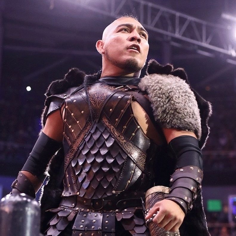 El Hijo del Vikingo recovery update