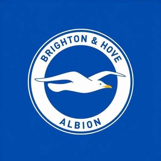 Brighton & Hove Albion logo