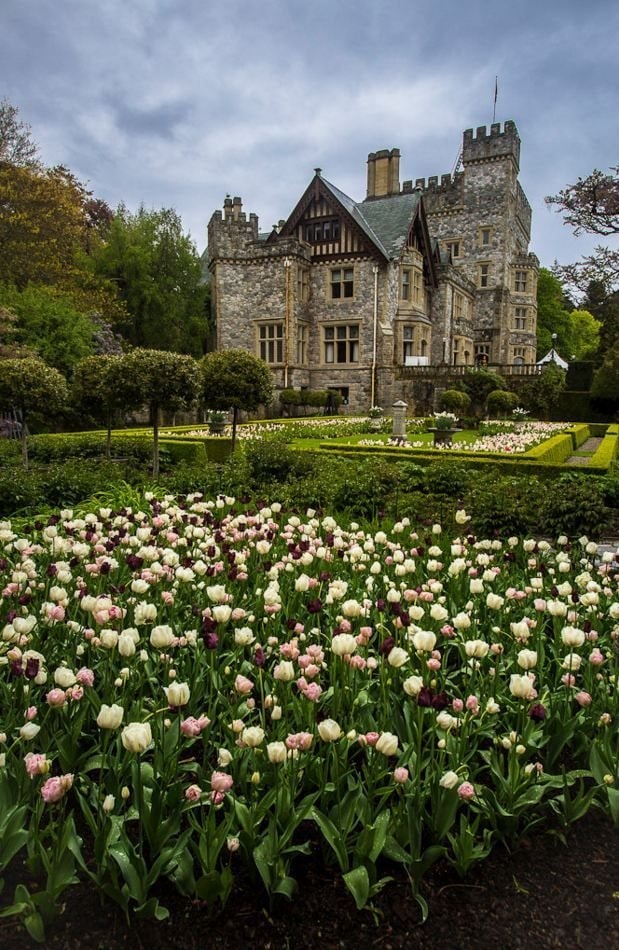 Canada castle tulip gardens (photo 1 of 4)