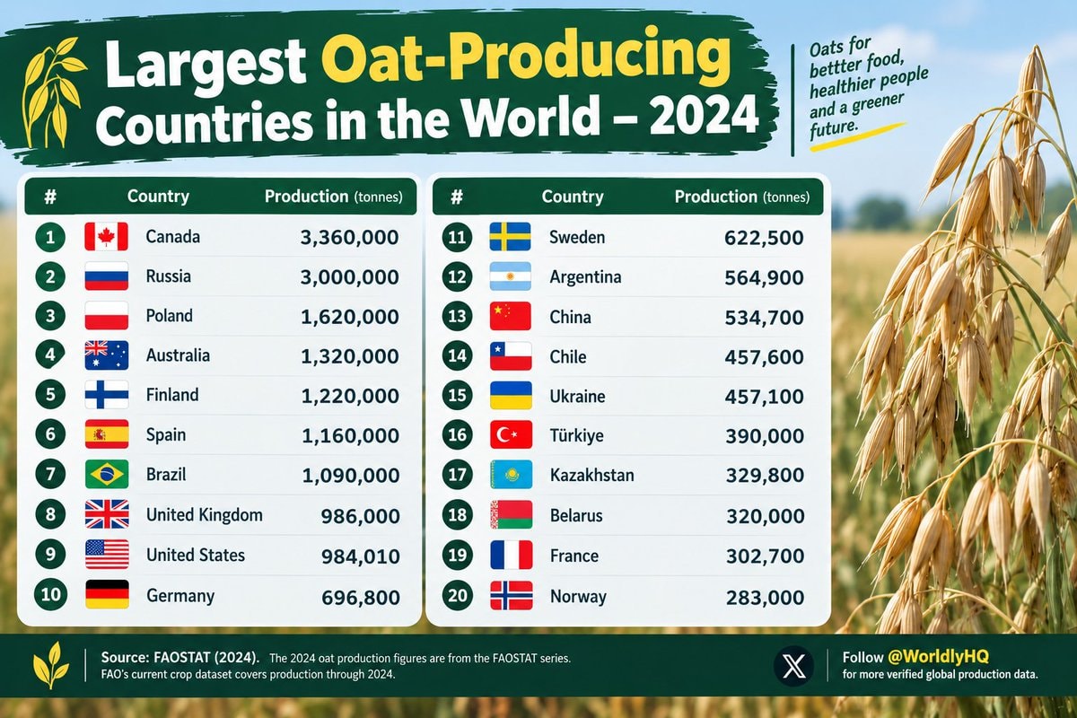Largest Oat-Producing Countries in the World 2024