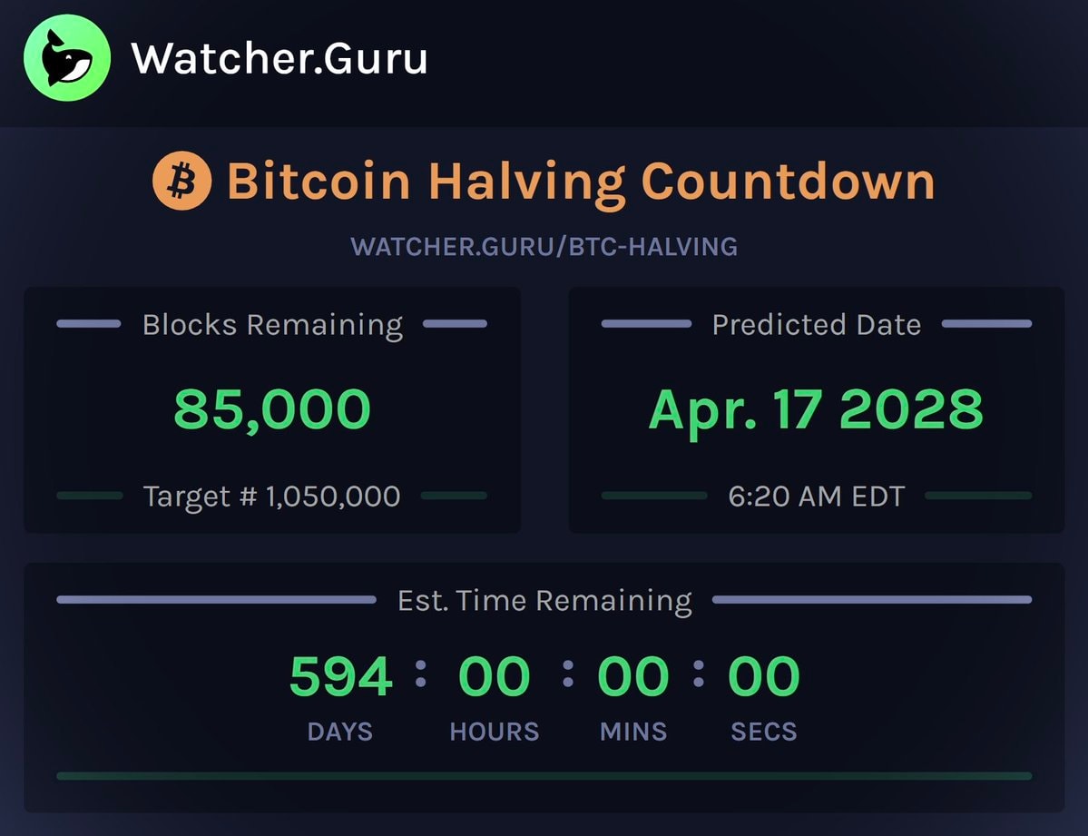 Bitcoin Halving countdown