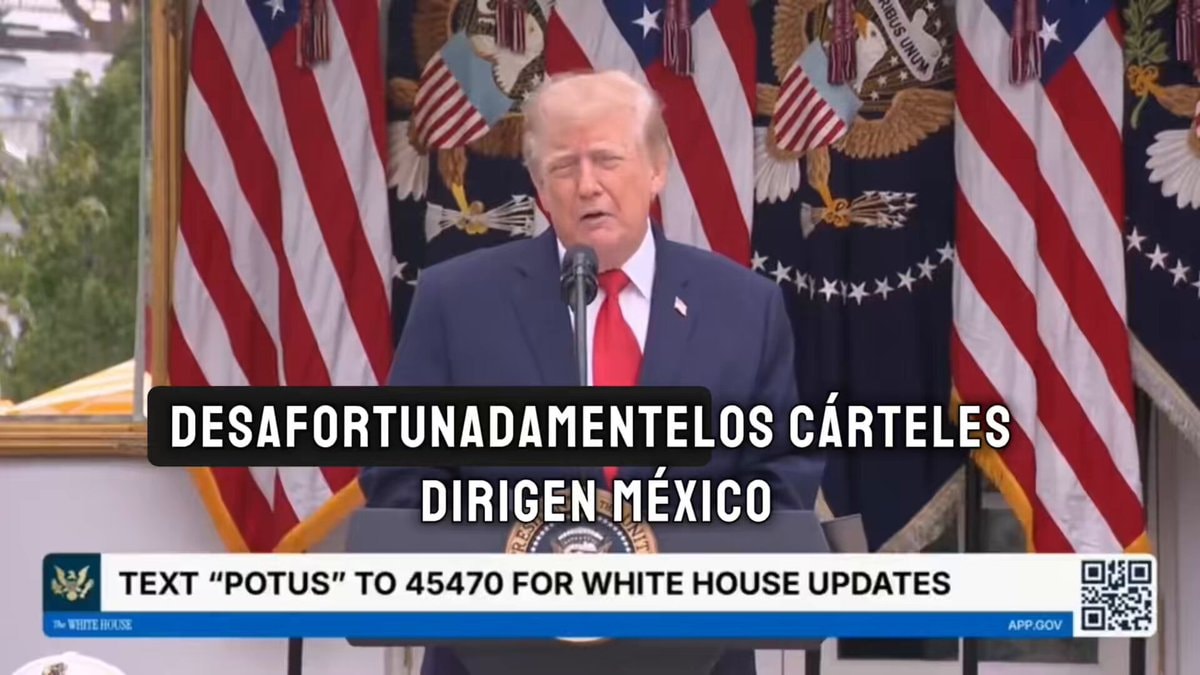 Donald Trump on Mexico cartels
