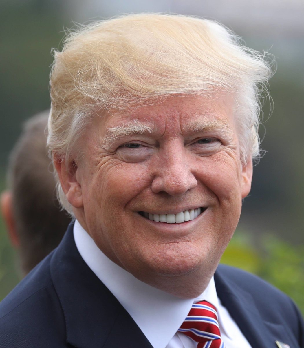 Trump Triumphal Arch proposal