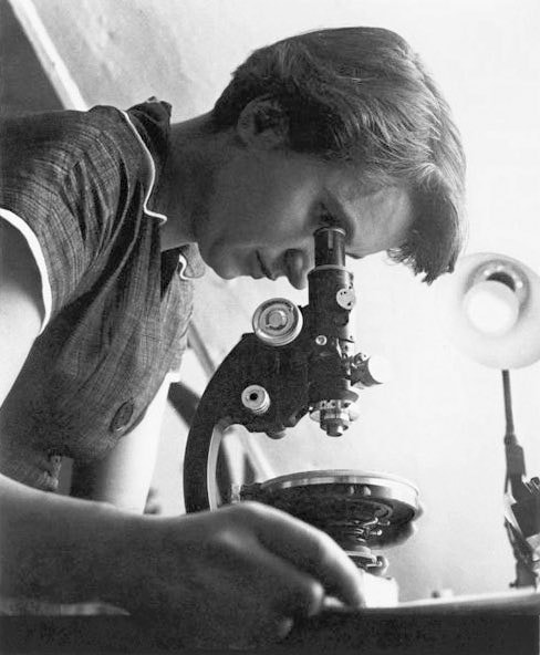 Rosalind Franklin quote