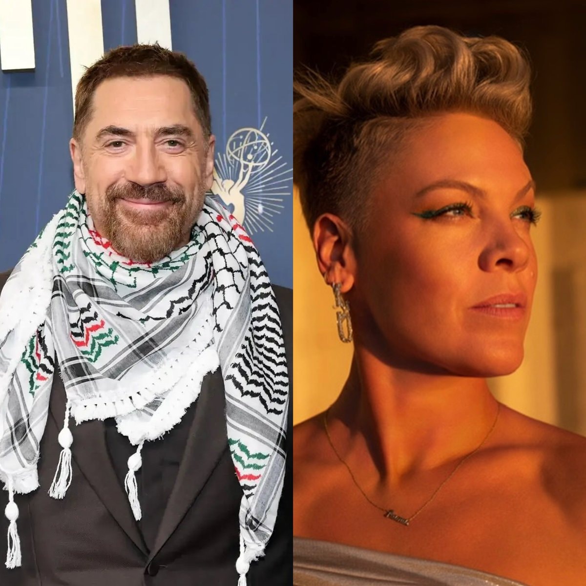 Javier Bardem supports petition against P!nk