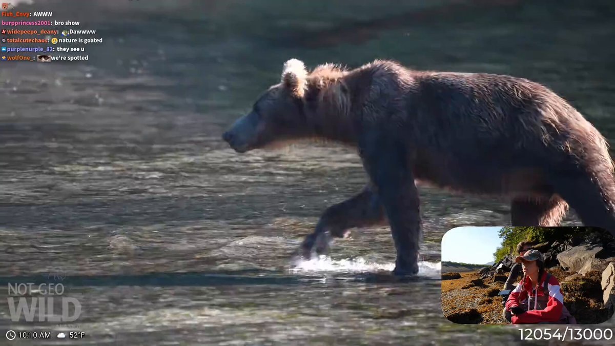 Maya Higa cries seeing bear cubs