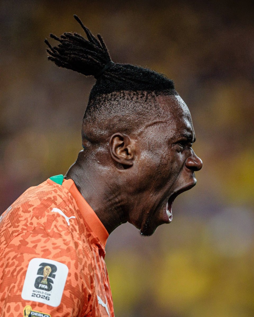 Ivory Coast World Cup bird species win (photo 2 of 2)