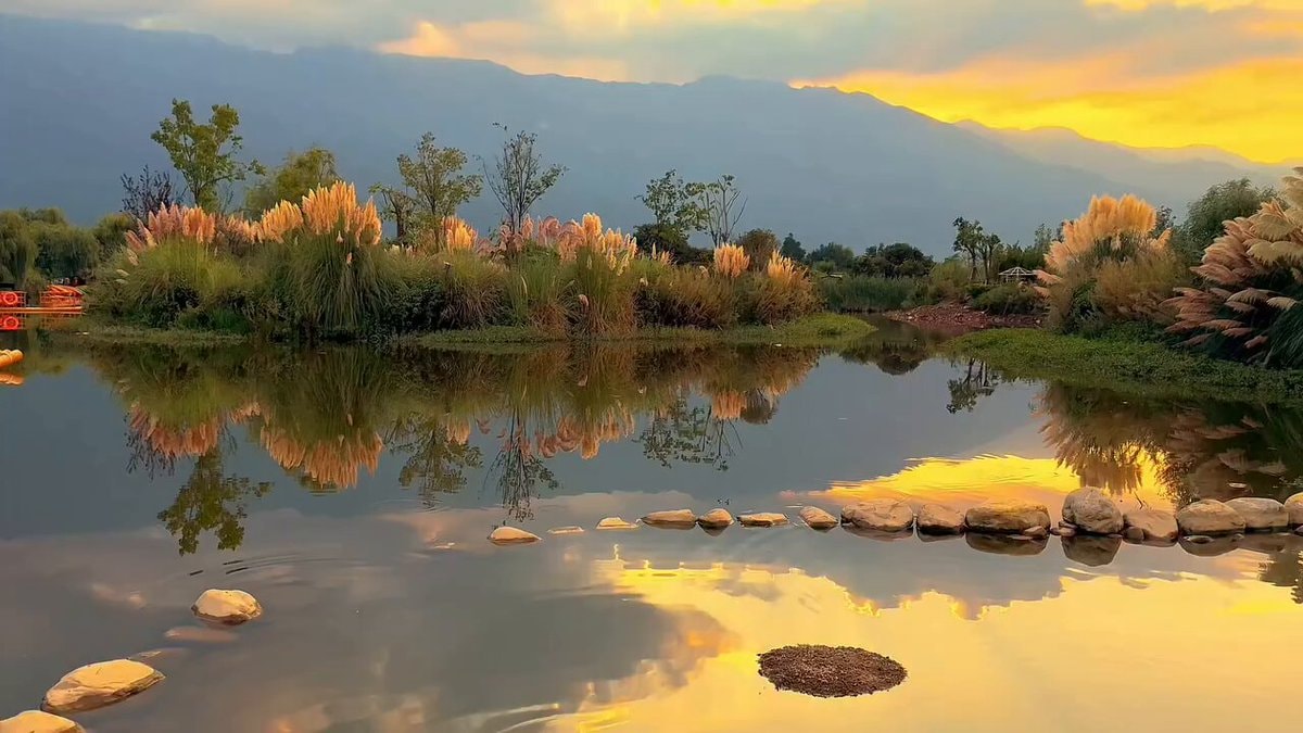 Serene natural landscape