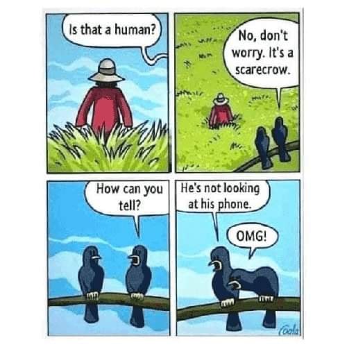 Birds scarecrow phone observation comic Birds scarecrow phone observation comic