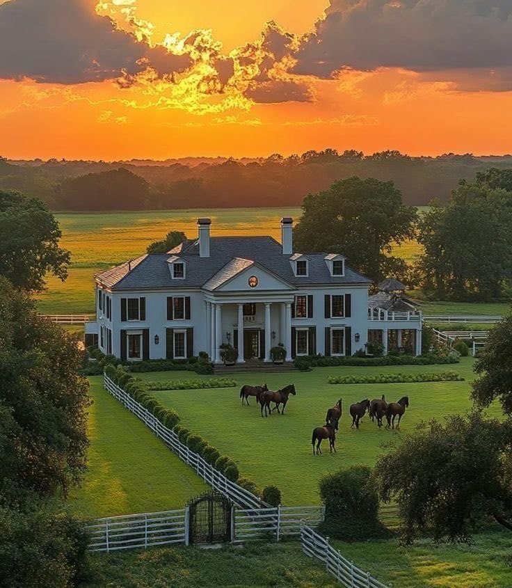 dream home mansion