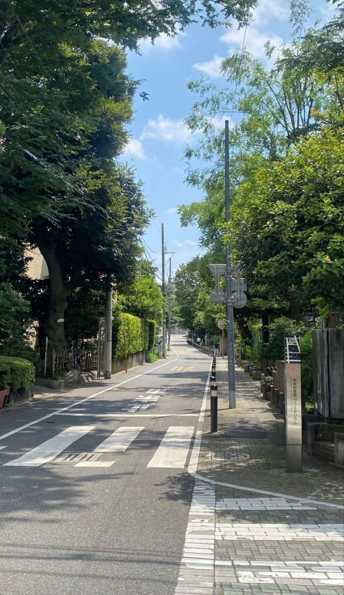Kyoto Japan scenic road (photo 4 of 4)
