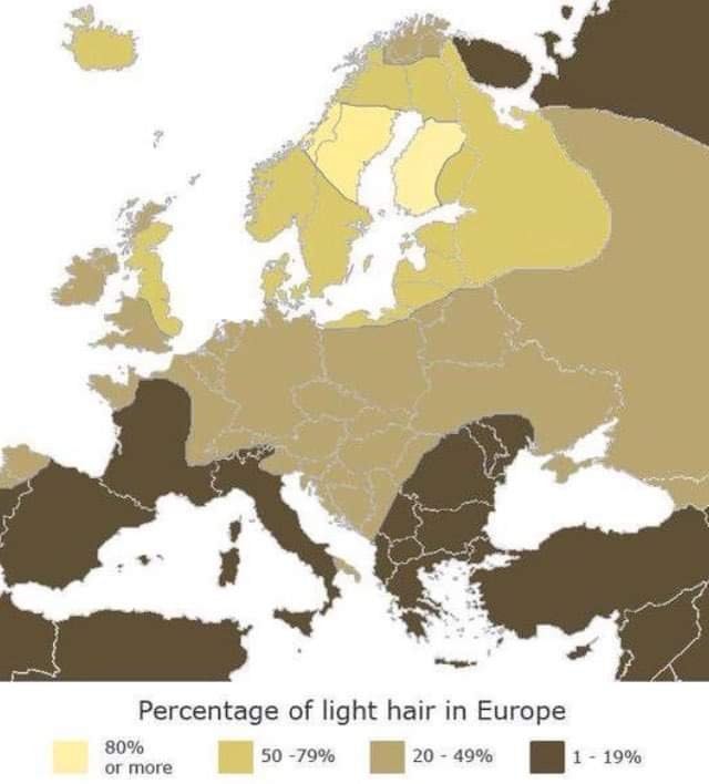 light hair percentage in Europe light hair percentage in Europe
