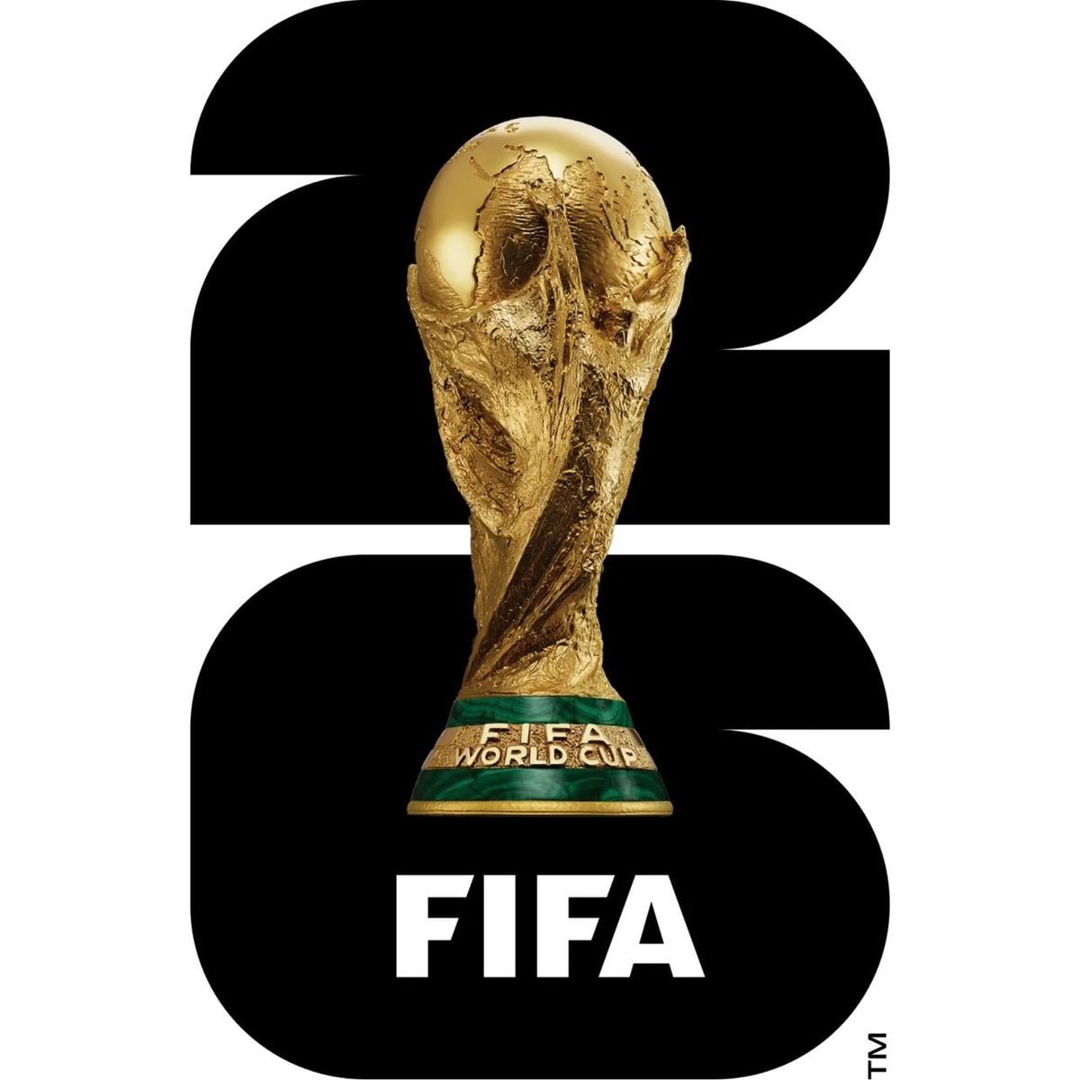 USMNT 2026 World Cup knockout match (photo 2 of 2)