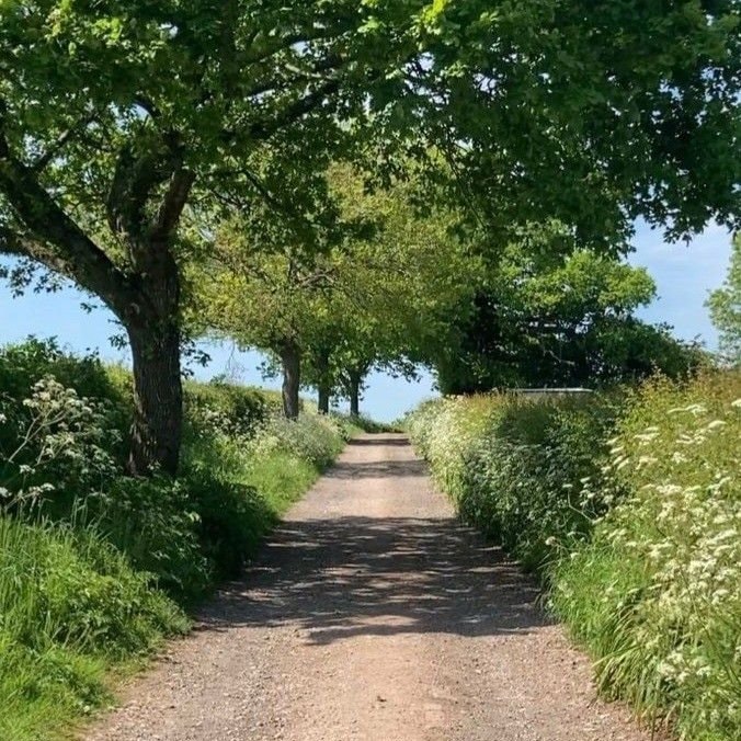 Green paths free therapy (photo 2 of 2)