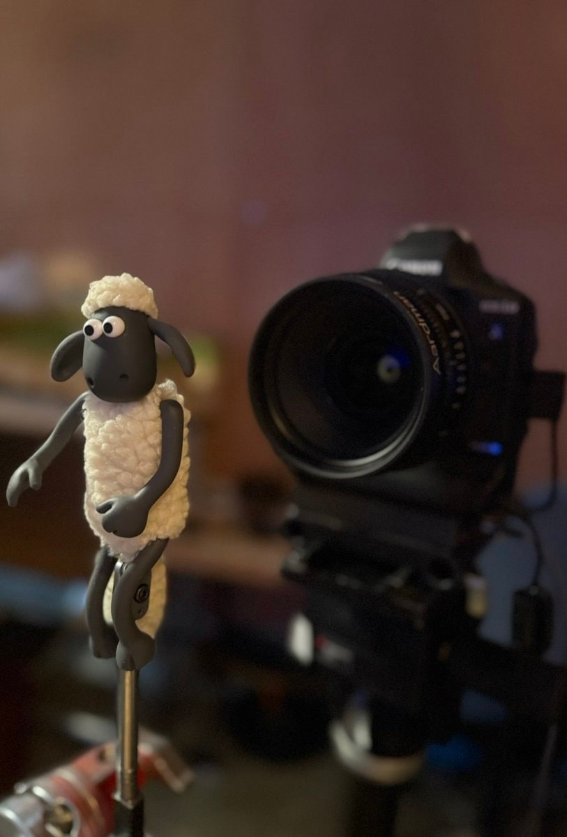 Shaun the Sheep Beast of Mossy Bottom stop-motion