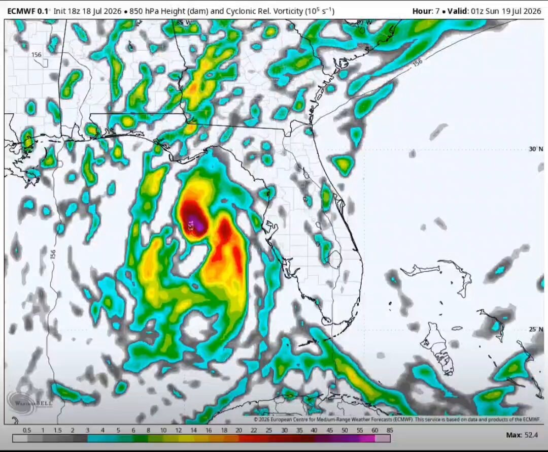 Invest 91L Gulf hurricane forecast
