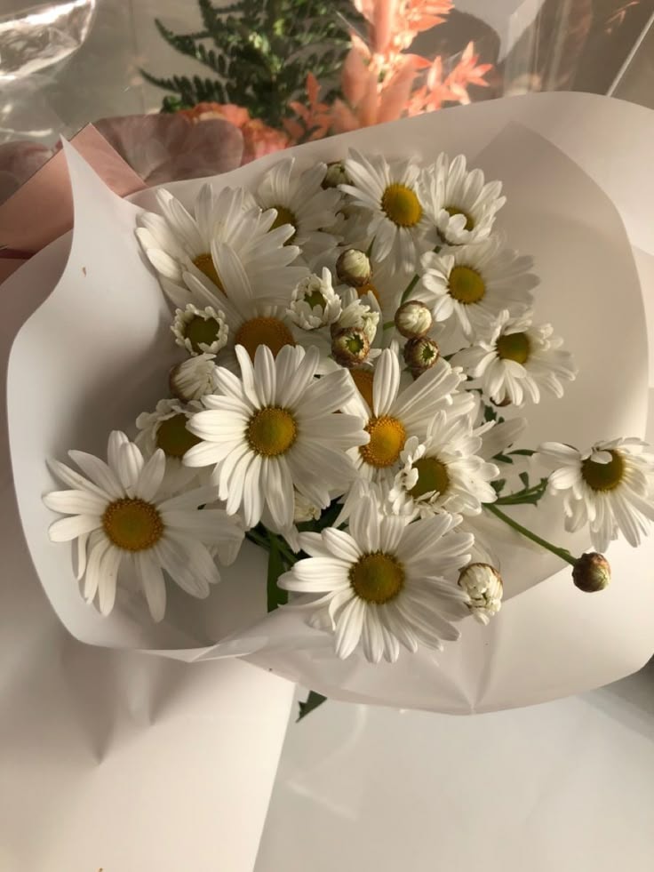 White daisies in brown paper wrap (photo 4 of 4)