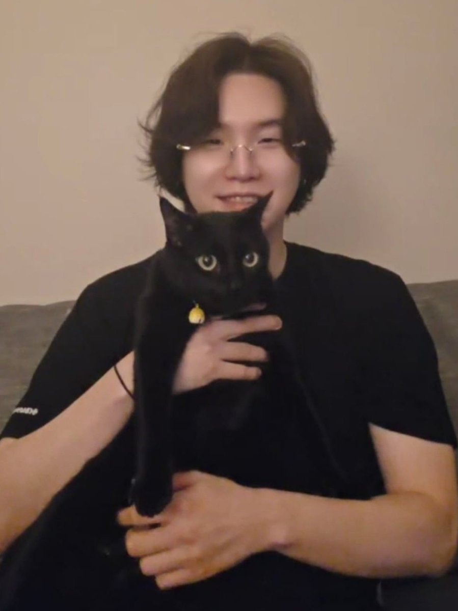 SUGA celebrates National Black Cat Appreciation Day