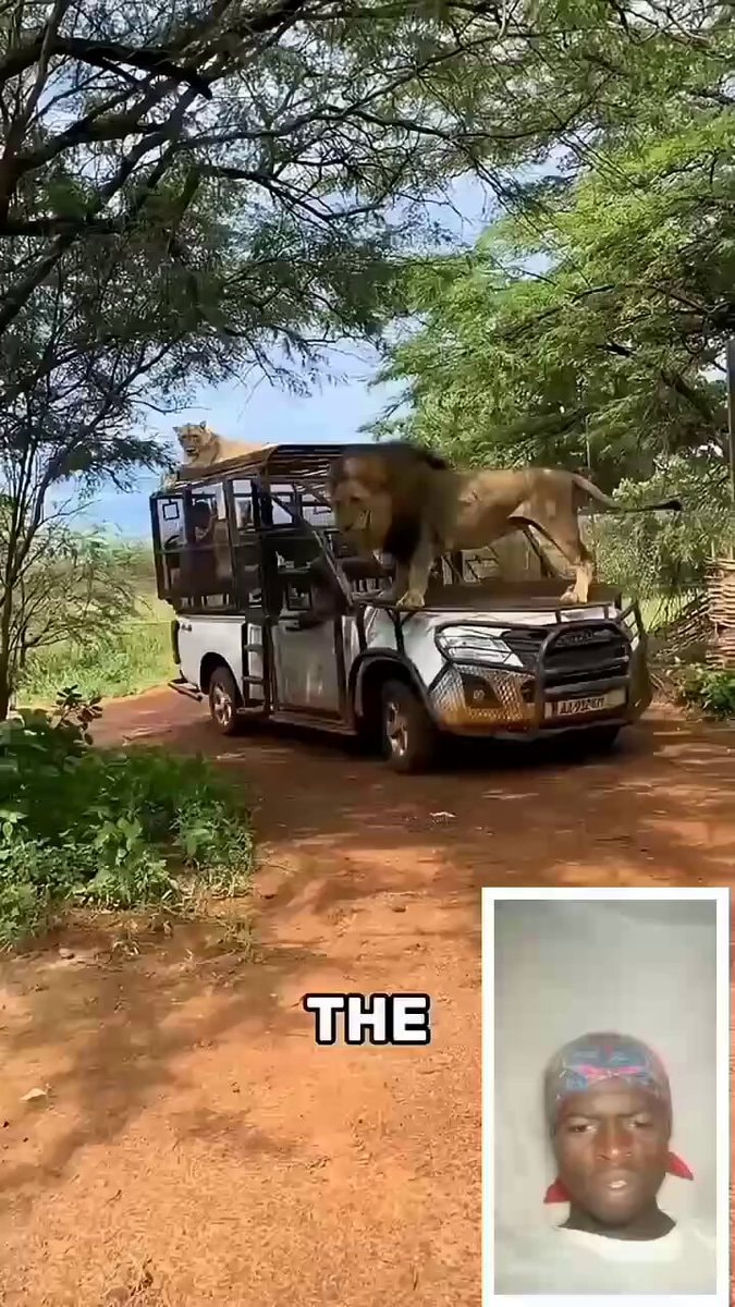 unbelievable funny moments captured by camera