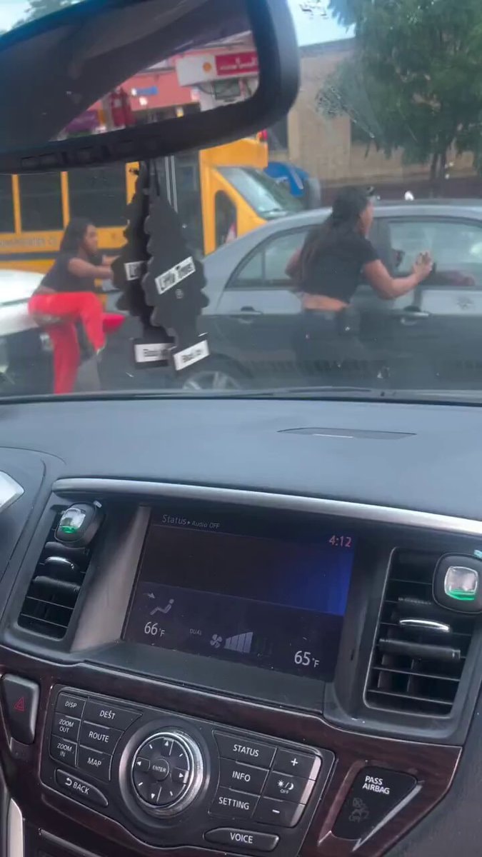Two women street fight