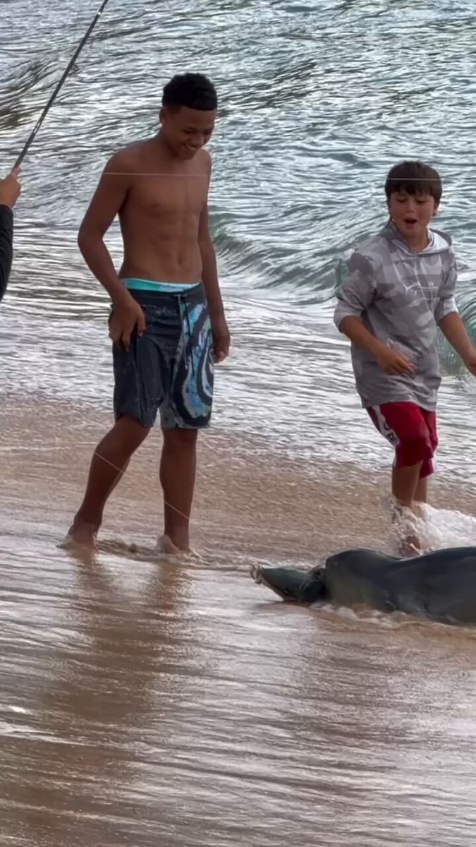 Two boys and a monk seal