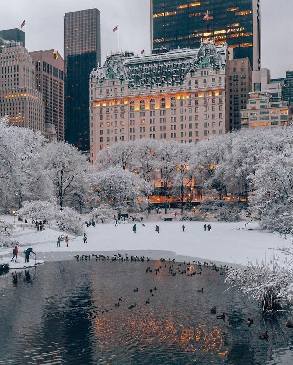 Central Park snowy fairytale scene (photo 1 of 3) Central Park snowy fairytale scene (photo 1 of 3)