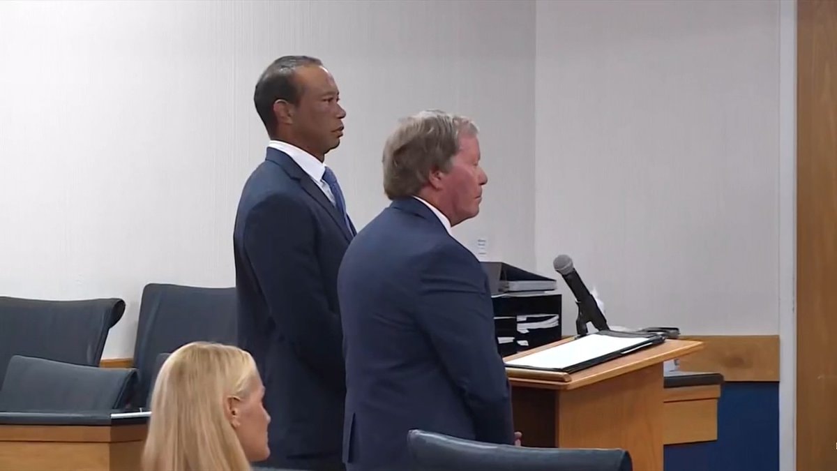 Tiger Woods reckless driving guilty plea