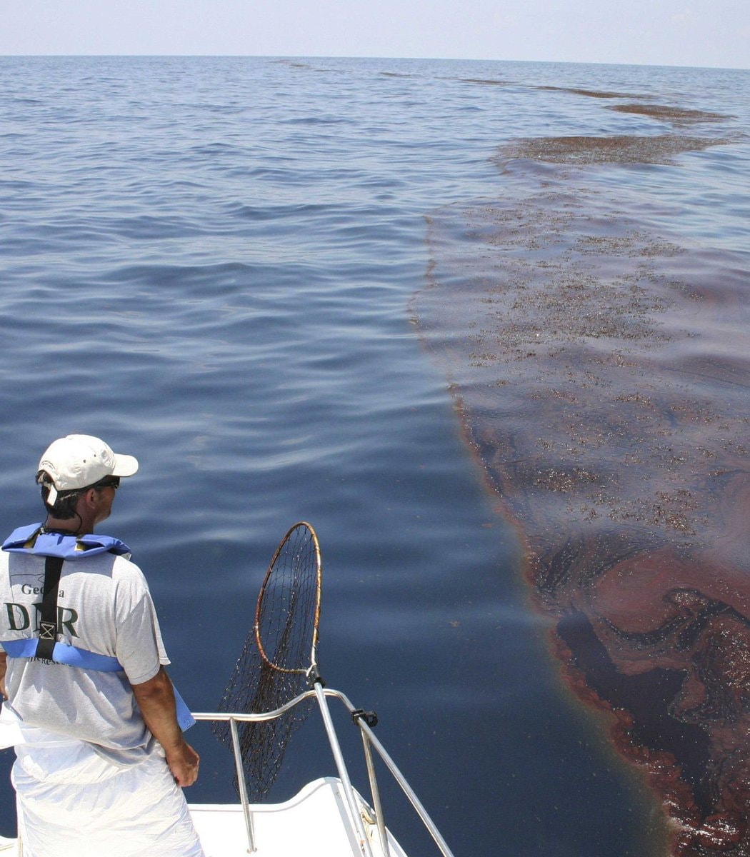 Great Sargassum Belt brown stain (photo 2 of 2)