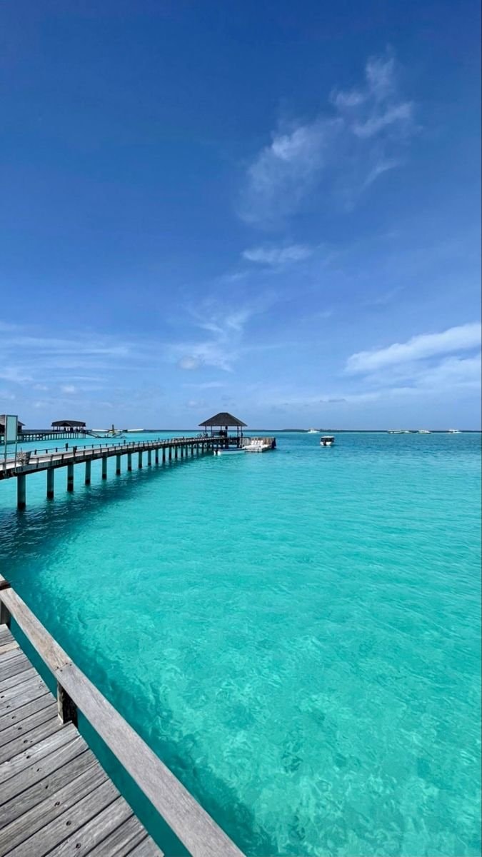 Maldives tropical scene