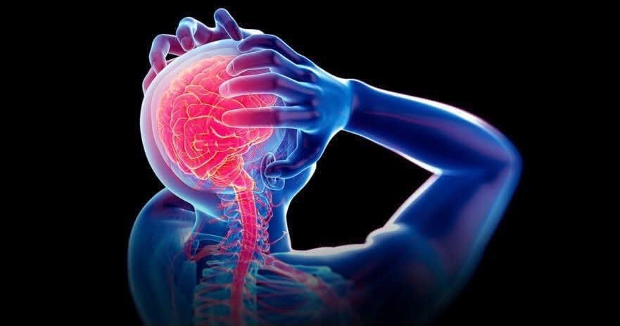 brain cellular function question