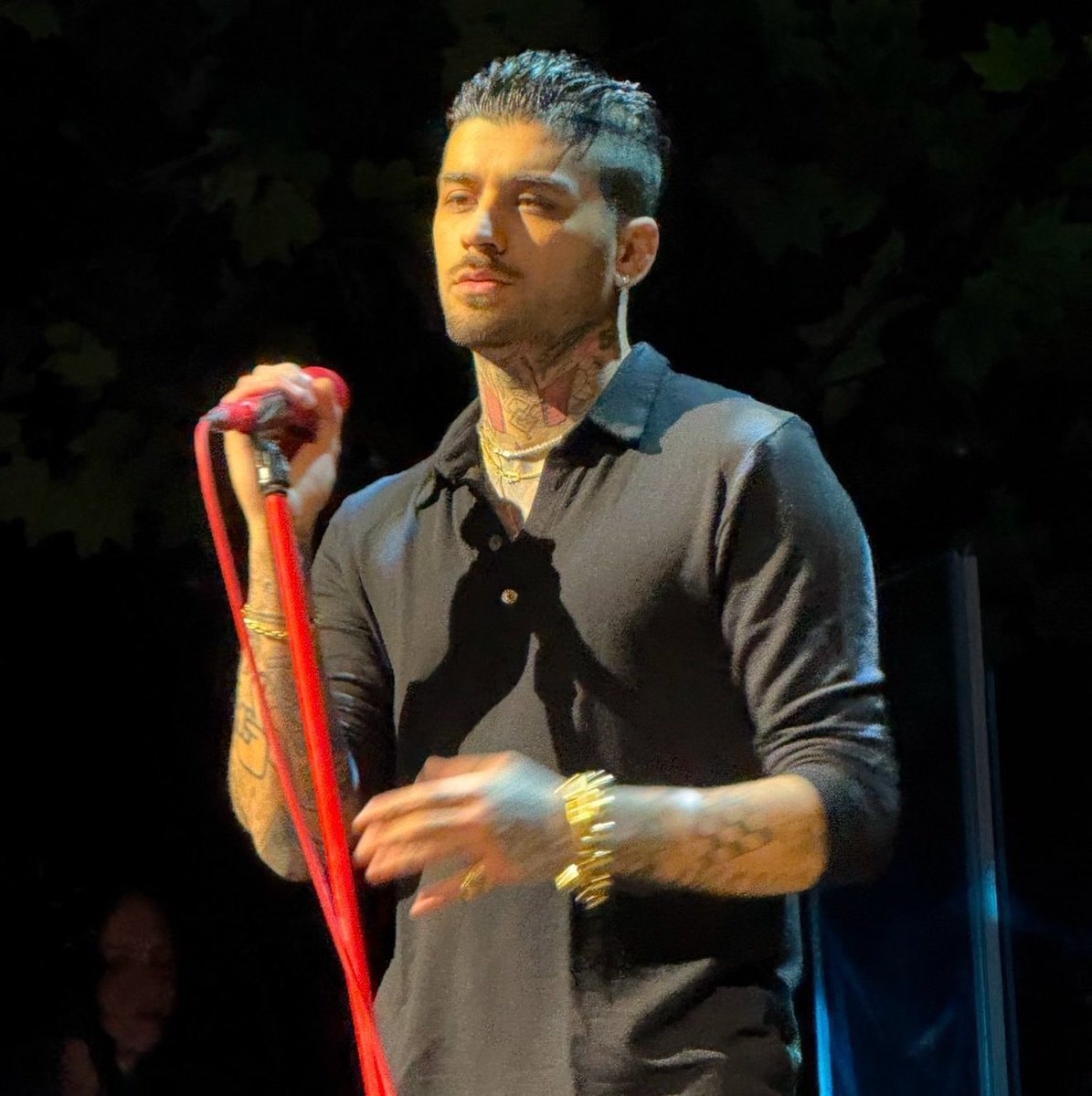 ZAYN live performance