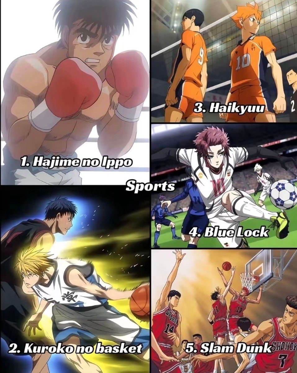 Sports anime Hajime no Ippo Haikyuu Blue Lock Kuroko no Basket Slam Dunk