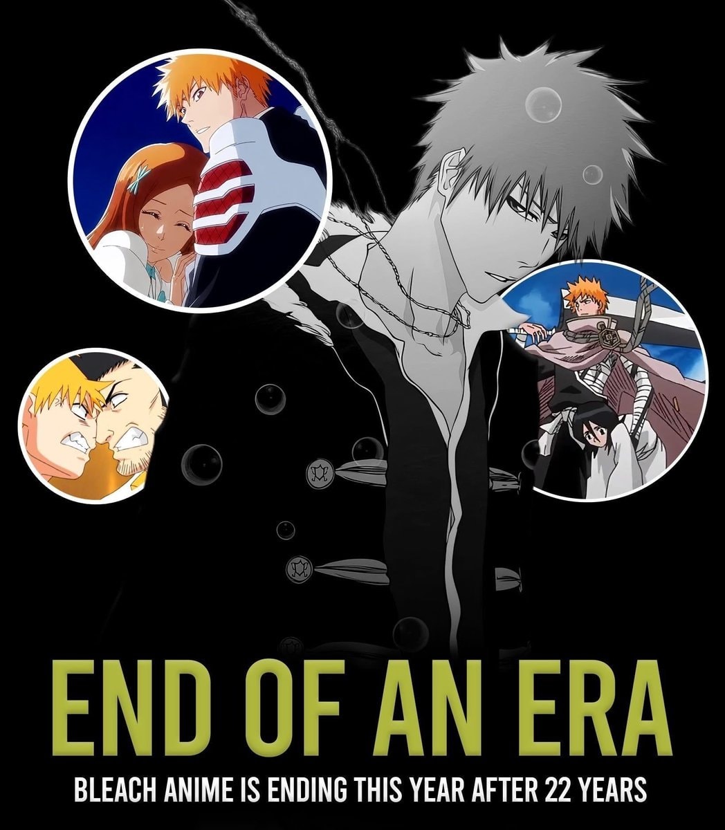 Bleach series conclusion