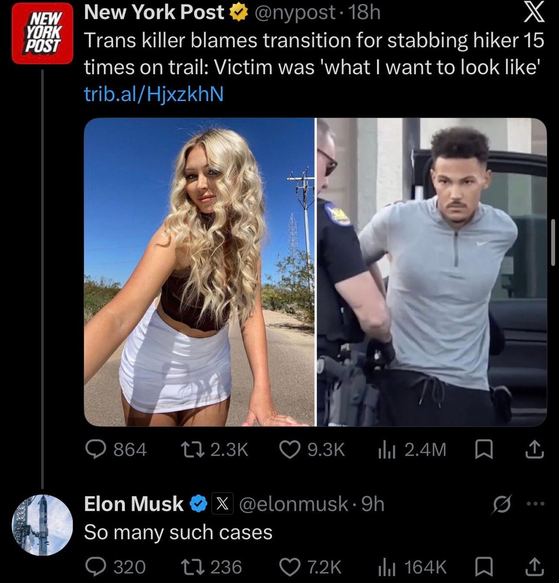 Elon Musk on trans community violence (photo 4 of 4)