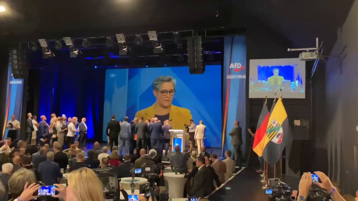 AfD Germany Revolution Moment