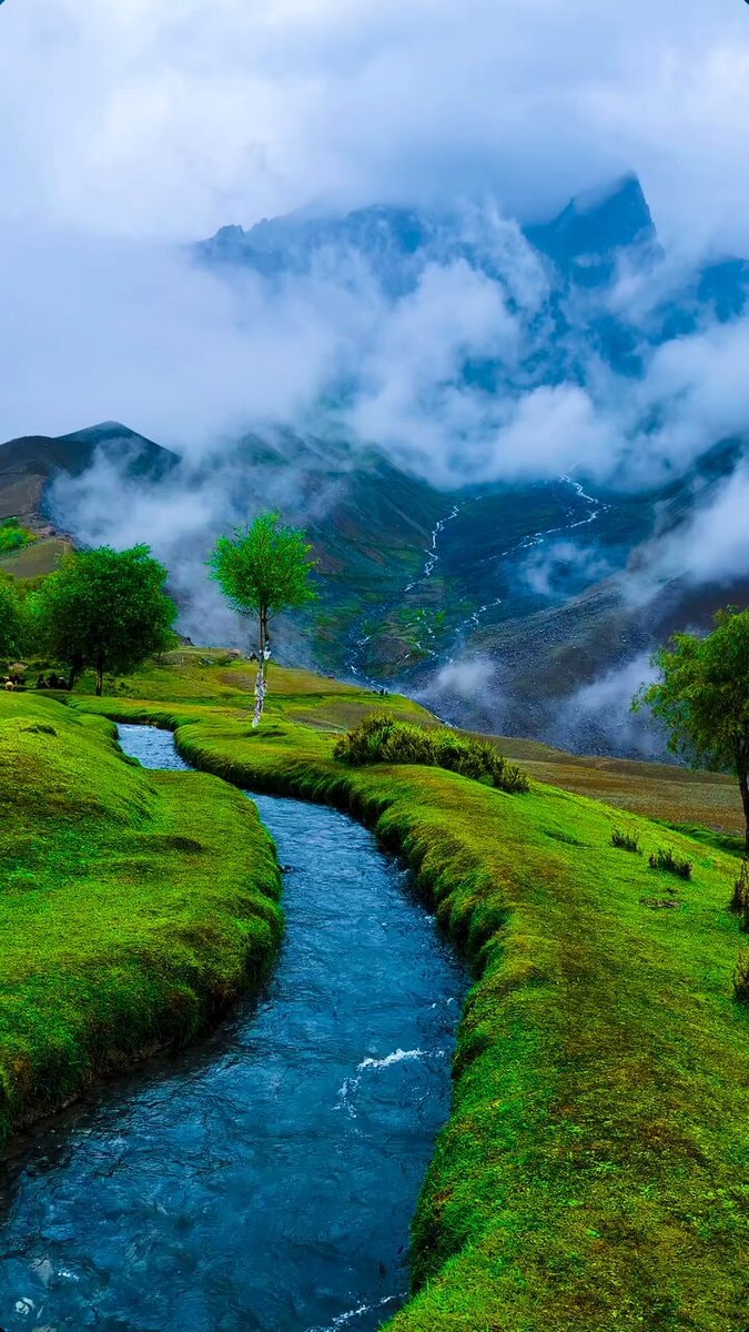vibrant landscape scene