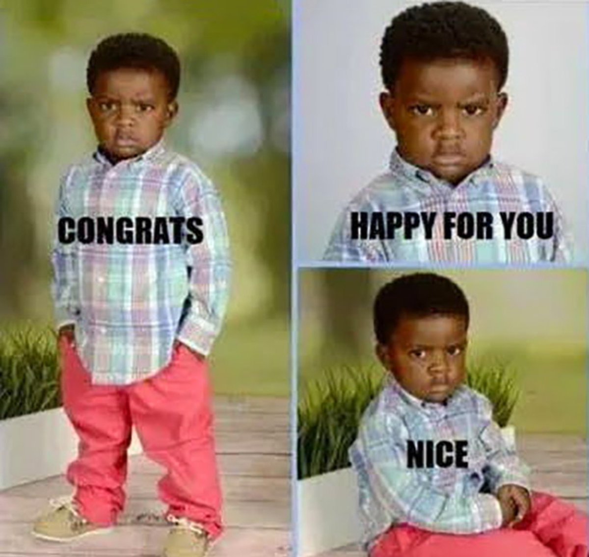 sarcasm reaction meme