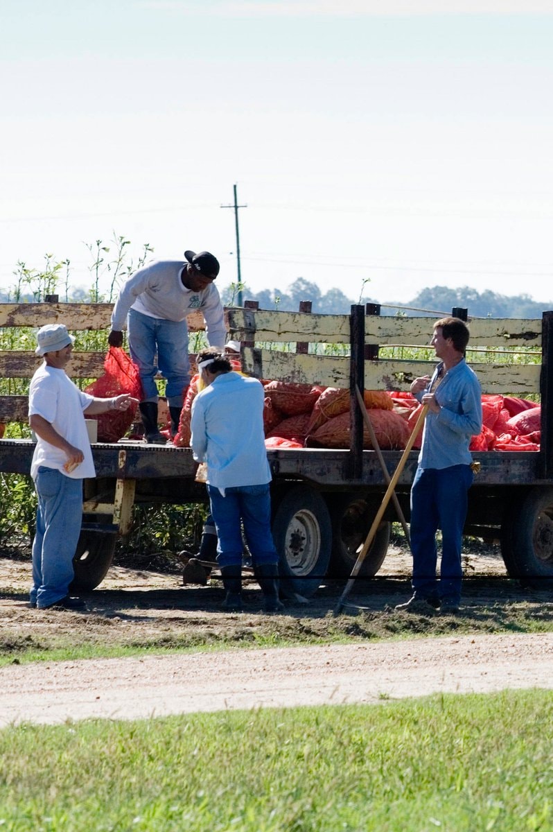Taylor Farms prison labor and outbreak (photo 2 of 2)
