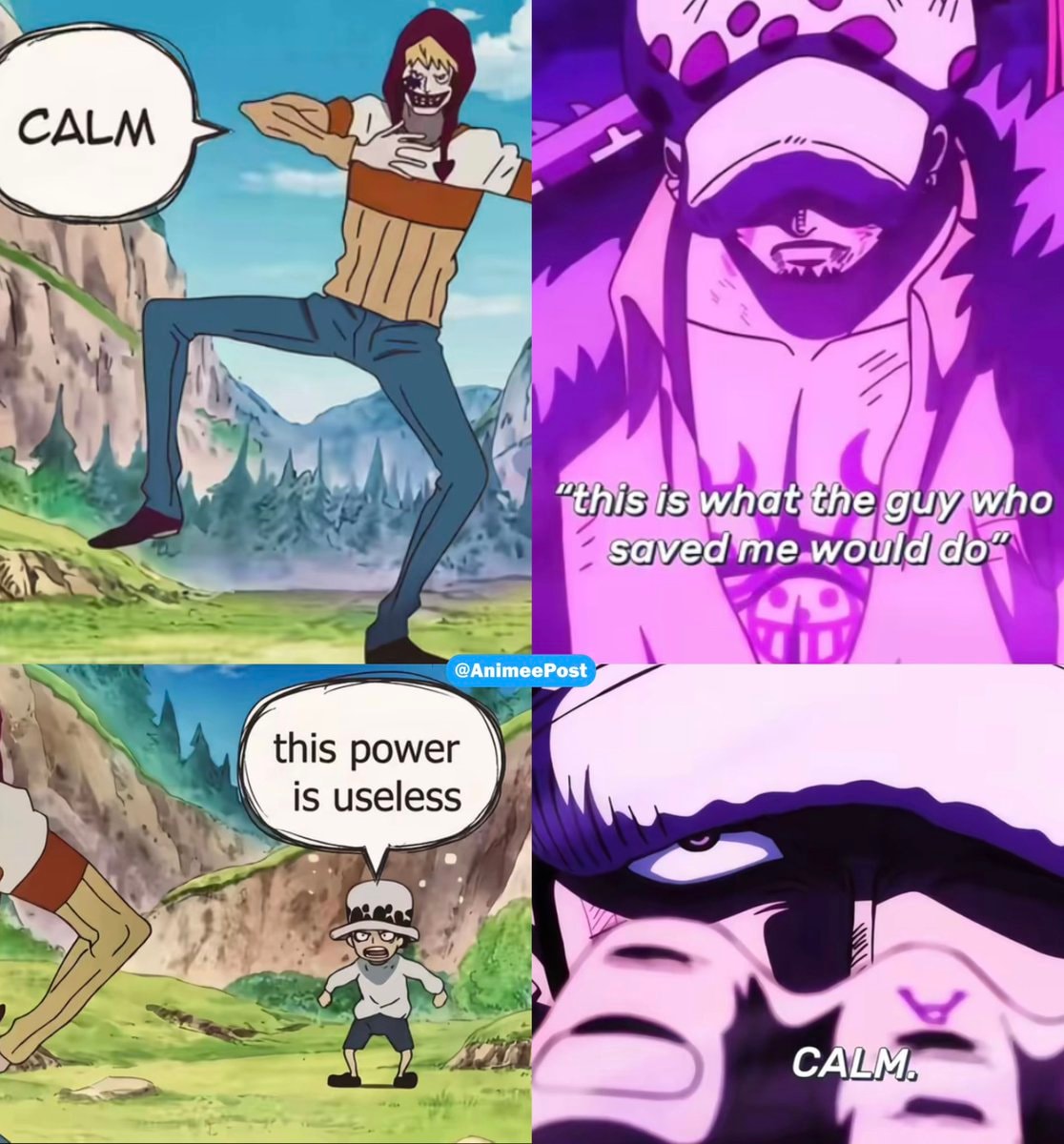 One Piece Corazon pride