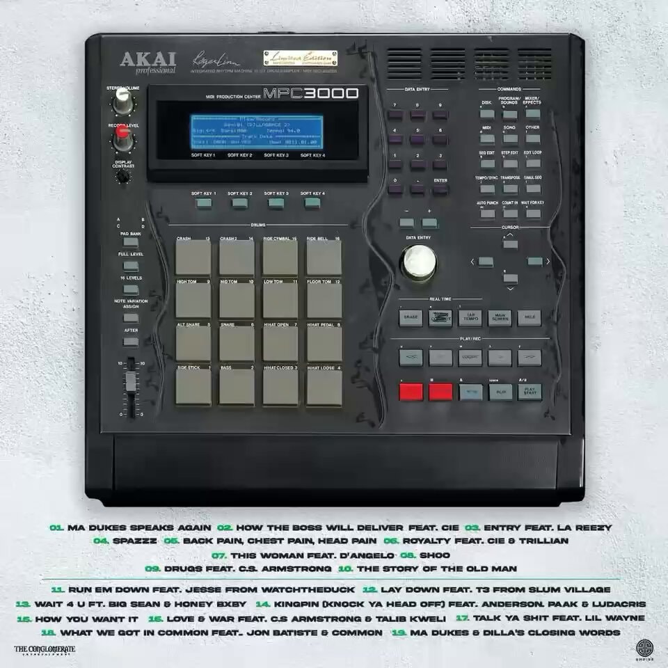 Busta Rhymes Dillagence 2