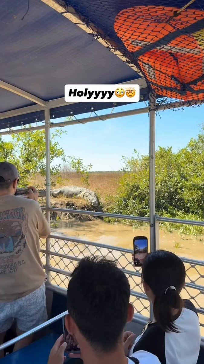 Hulk shaped crocodile
