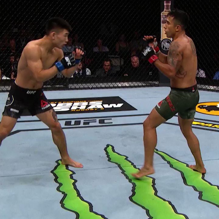 Song Yadong UFC matchup