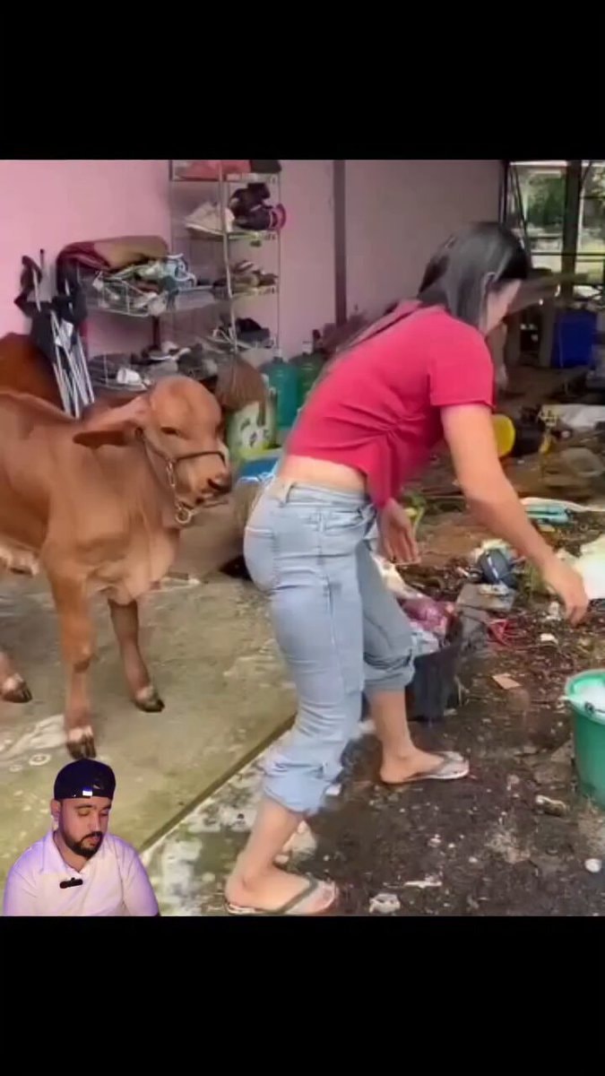 Funny camera moments