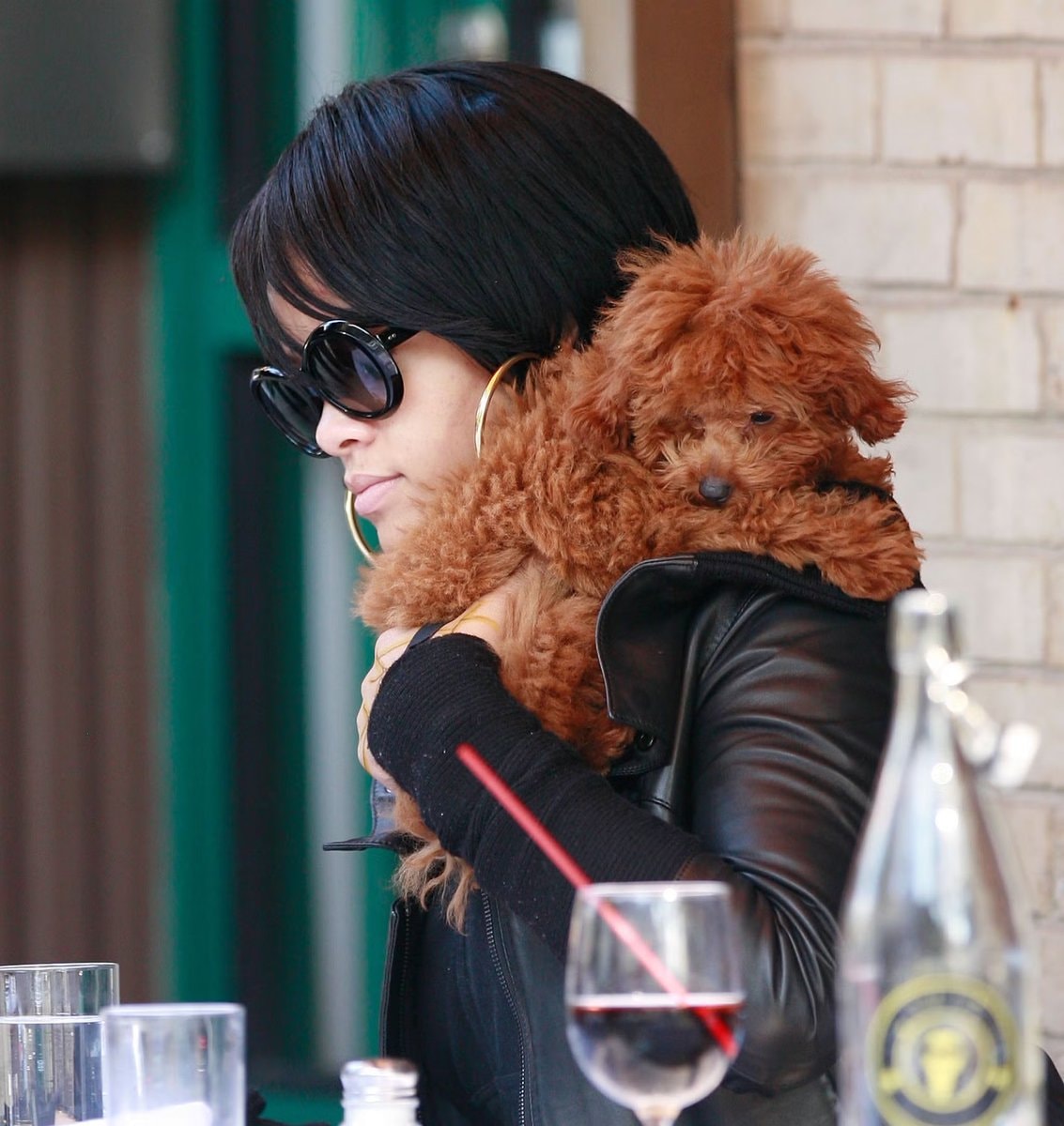 Gabby with poodle Oliver (photo 2 of 2)