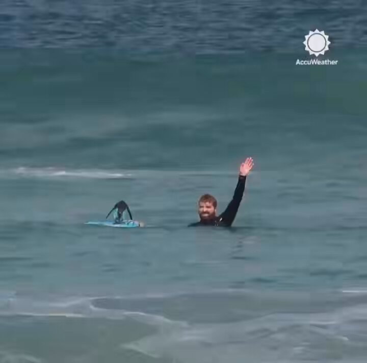 Surfer waits for perfect wave