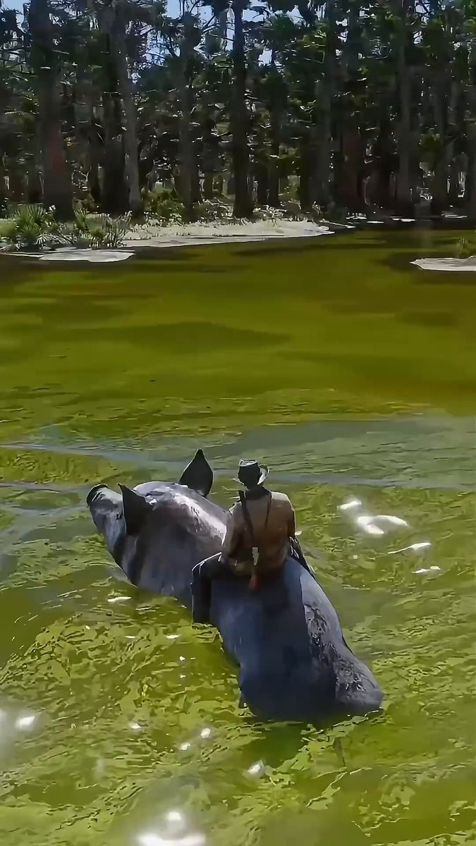 Arthur Morgan RDR 2 river ride