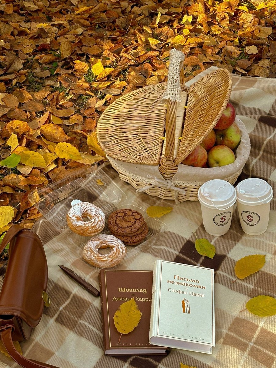 Autumn picnic vibes (photo 3 of 4)