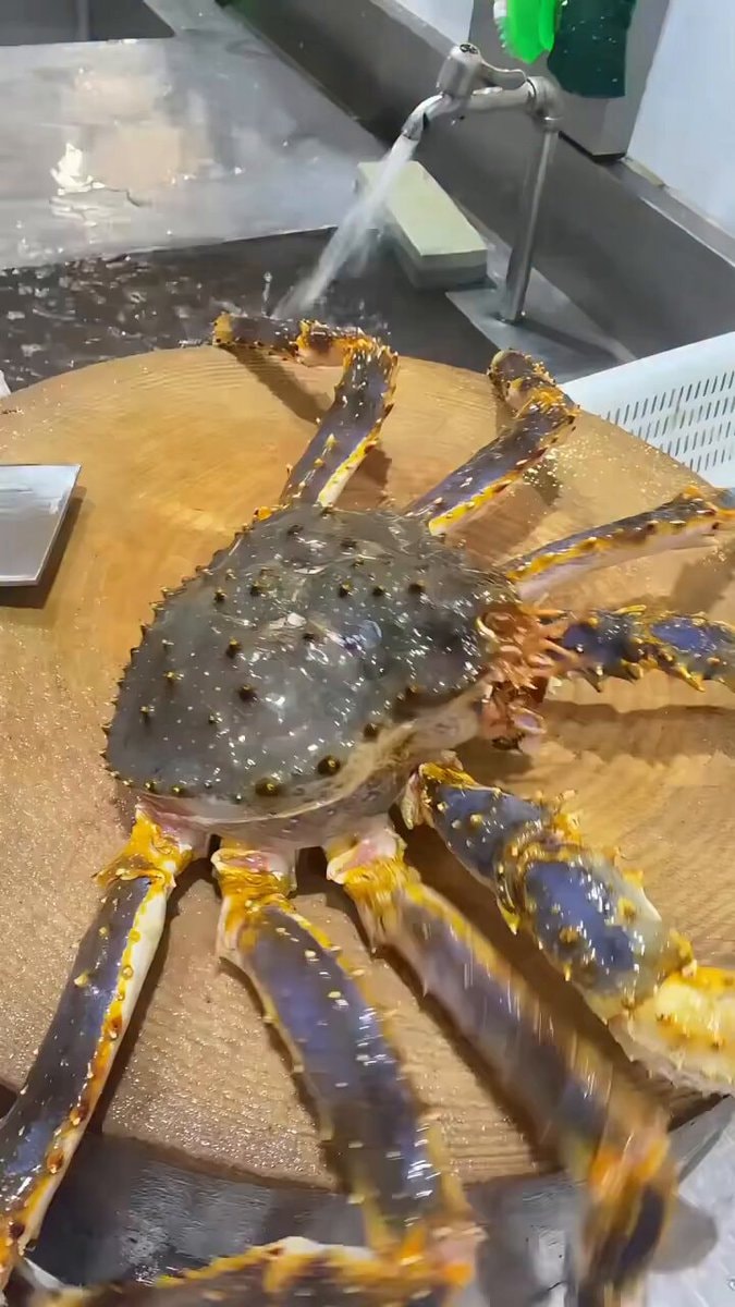 king crab moment king crab moment